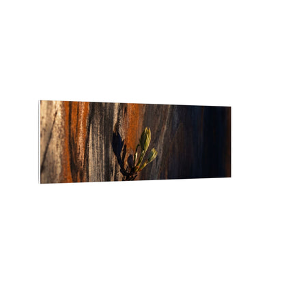 Rust Patina Charcoal Ink Canvas Art | Moody Dark Japandi Art