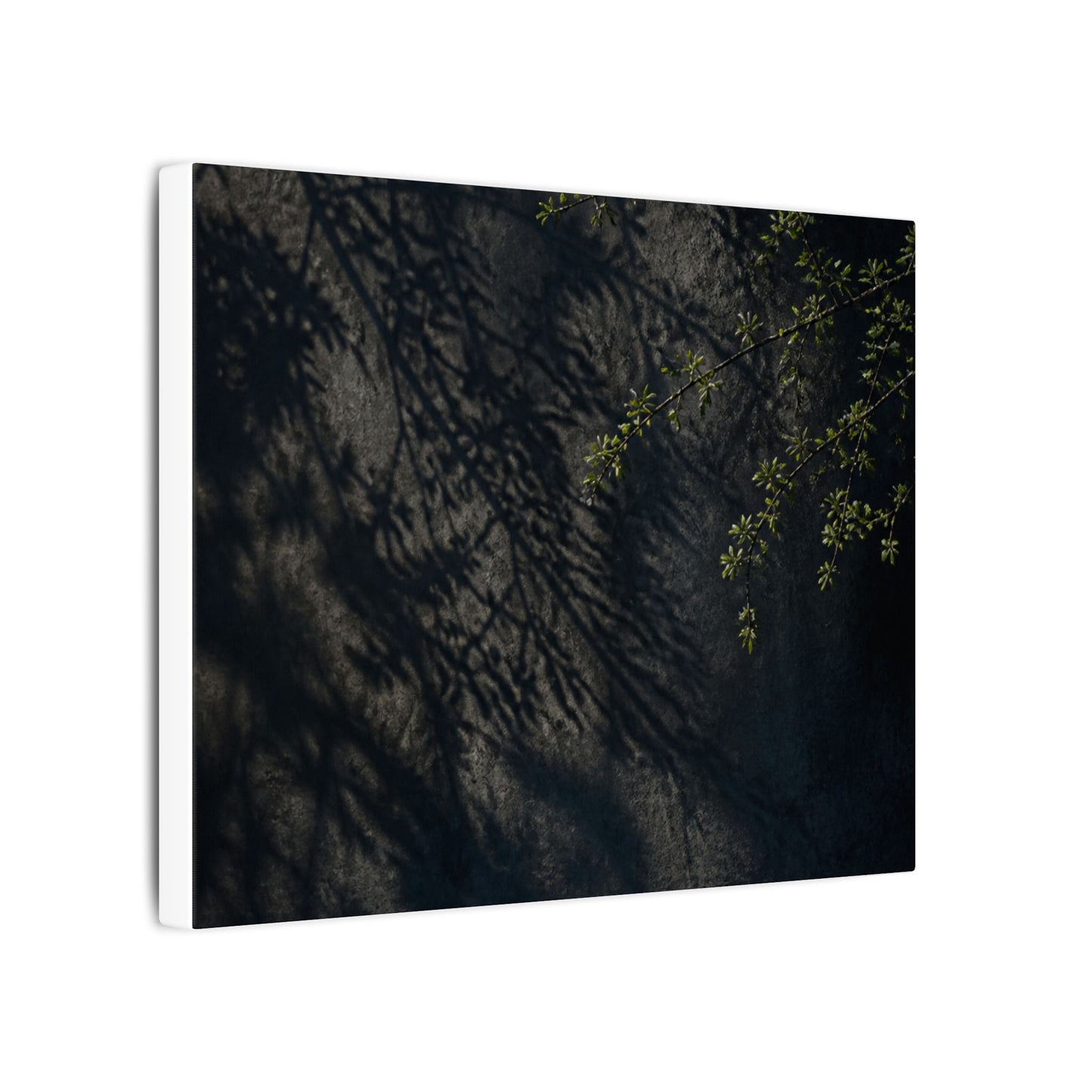 Overcast Shadow Play Canvas Art - Dark Japandi Seijaku