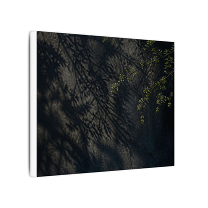Overcast Shadow Play Canvas Art - Dark Japandi Seijaku