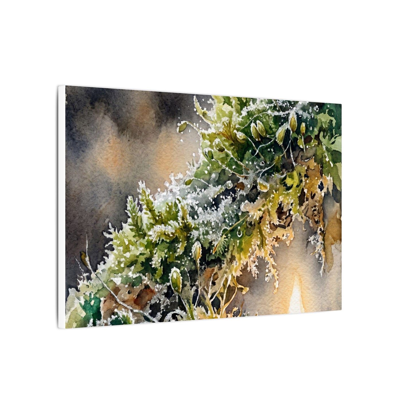 Winter Moss Close Up Watercolor Canvas Art | Neutral Decor