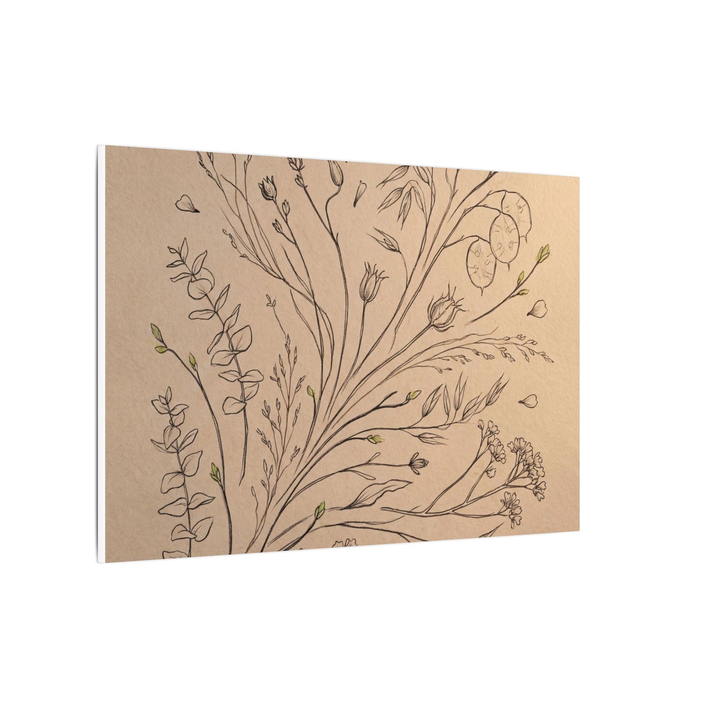 Dried Flowers Canvas Art | Spring Japandi Minimal Line Art