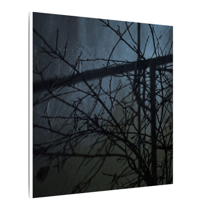 Moonlight Shadow Play Canvas Art - Dark Japandi Shibui