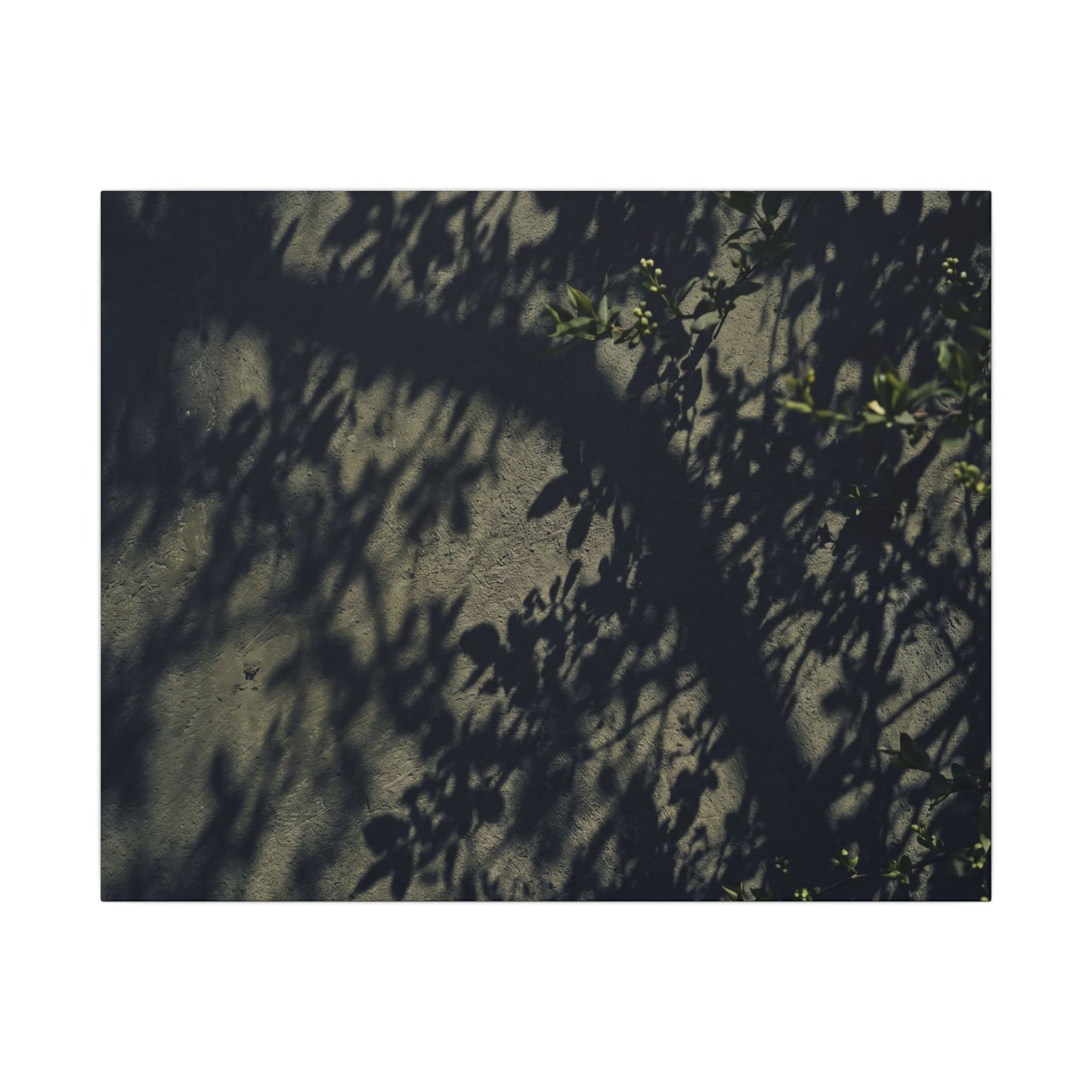 Atmospheric Shadow Play Canvas Art - Moody Minimal Dark Japandi