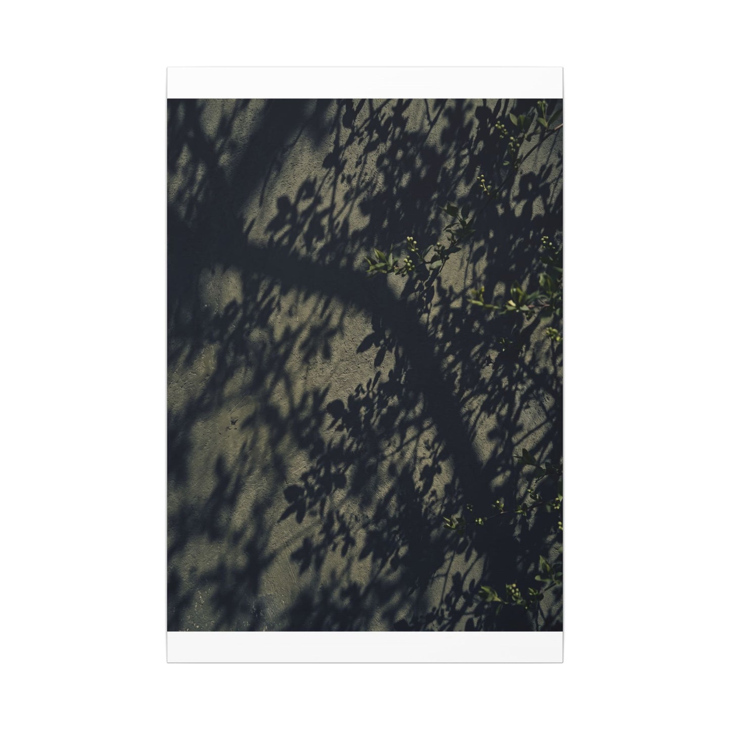 Atmospheric Shadow Play Canvas Art - Moody Minimal Dark Japandi
