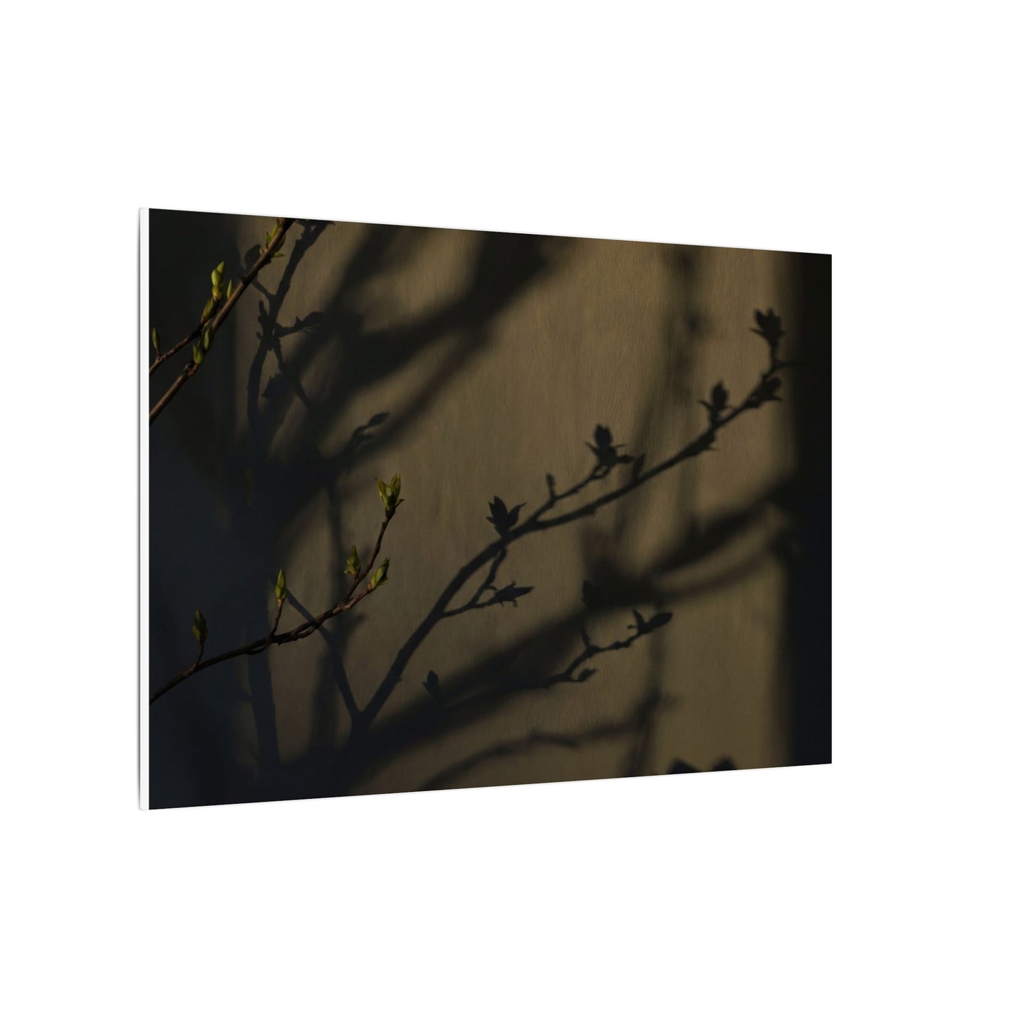 Seijaku Shadow Play Canvas Art - Dark Japandi Charcoal Ink