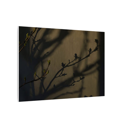 Seijaku Shadow Play Canvas Art - Dark Japandi Charcoal Ink
