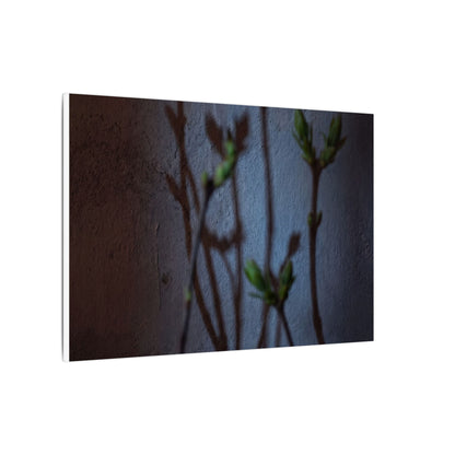 Shadow Play Spring Canvas Art | Dark Japandi Sophisticated Design