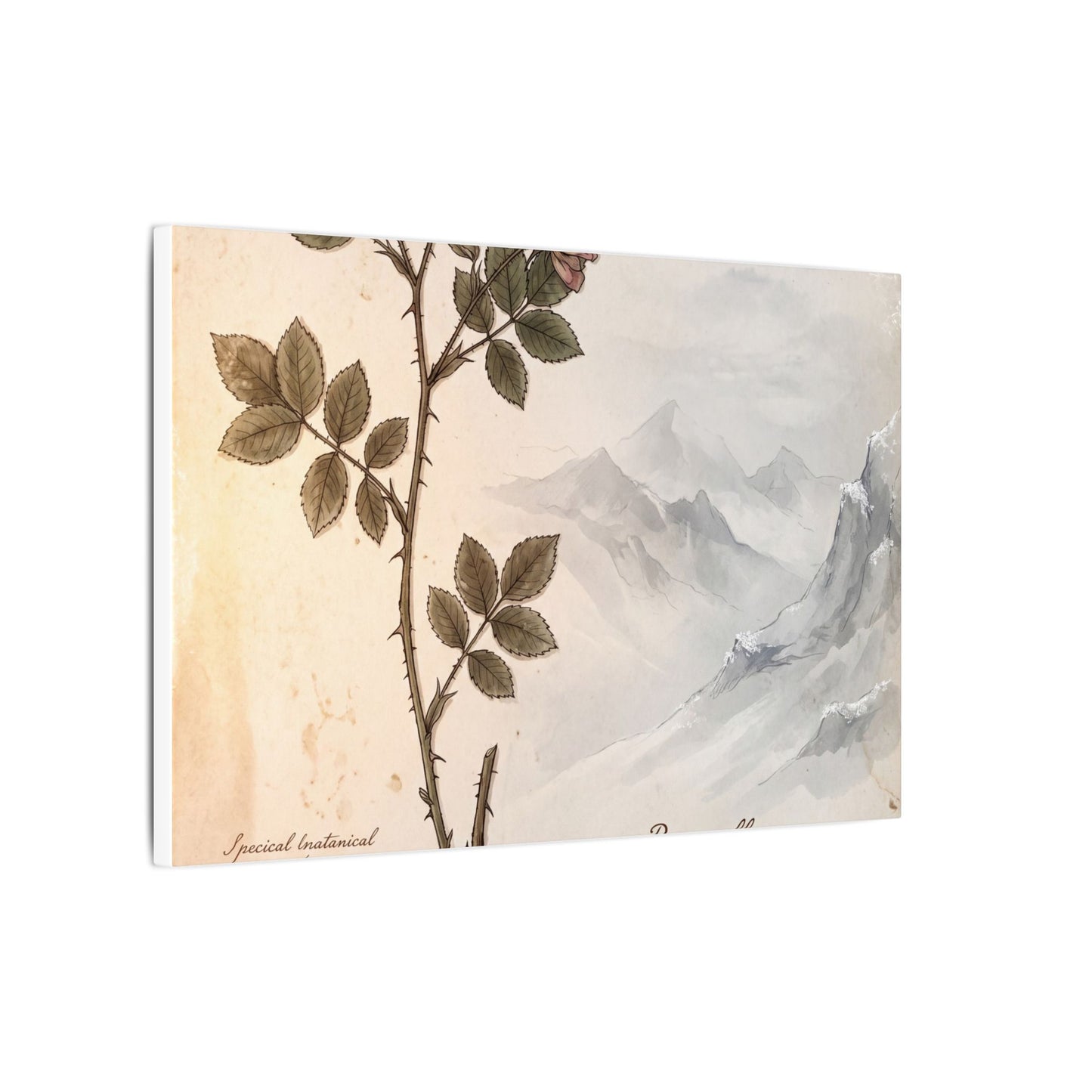 Winter Mountain Mist Herbarium Canvas Art | Earthy Decor