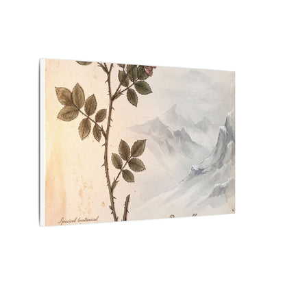 Winter Mountain Mist Herbarium Canvas Art | Earthy Decor