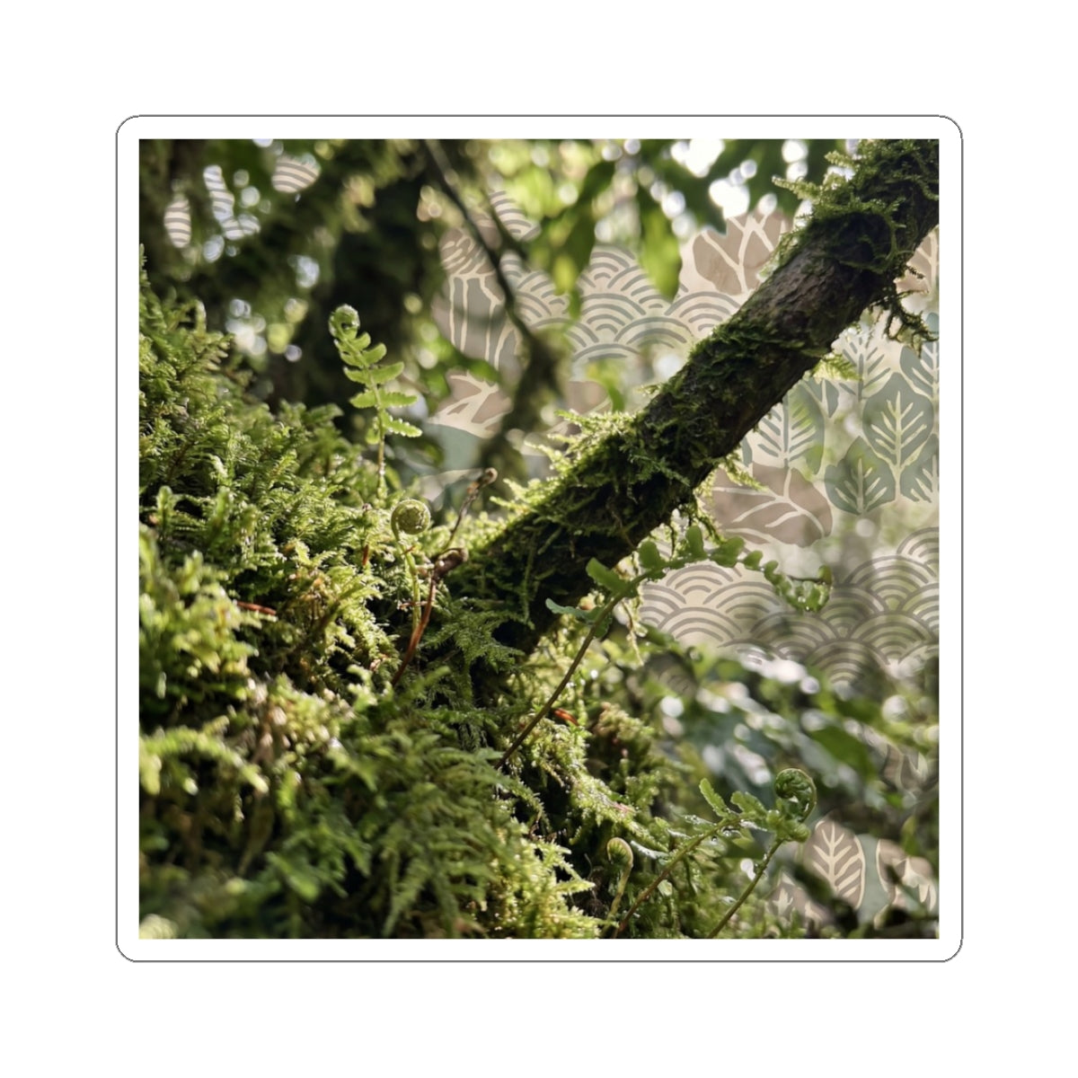 Moss Close Up Spring Sticker | Japandi Earthy Design Art Print