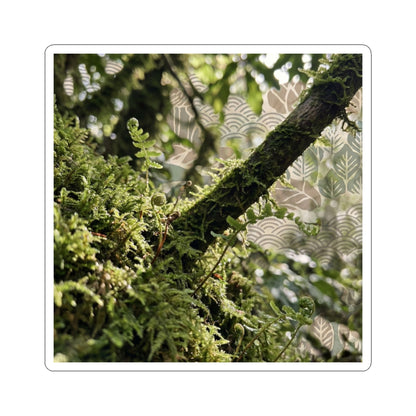 Moss Close Up Spring Sticker | Japandi Earthy Design Art Print