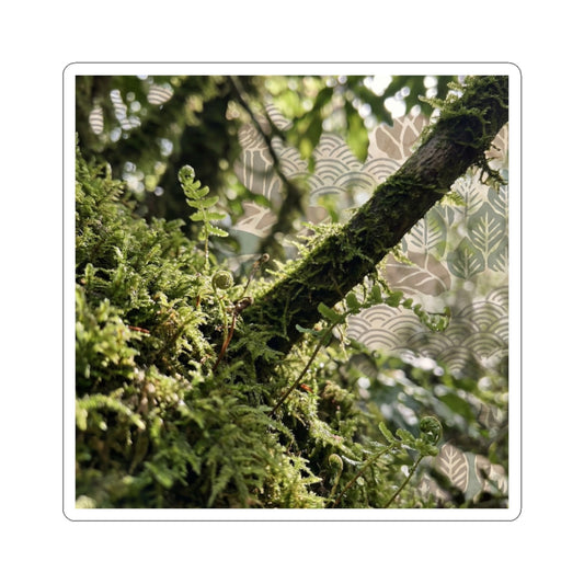 Moss Close Up Spring Sticker | Japandi Earthy Design Art Print