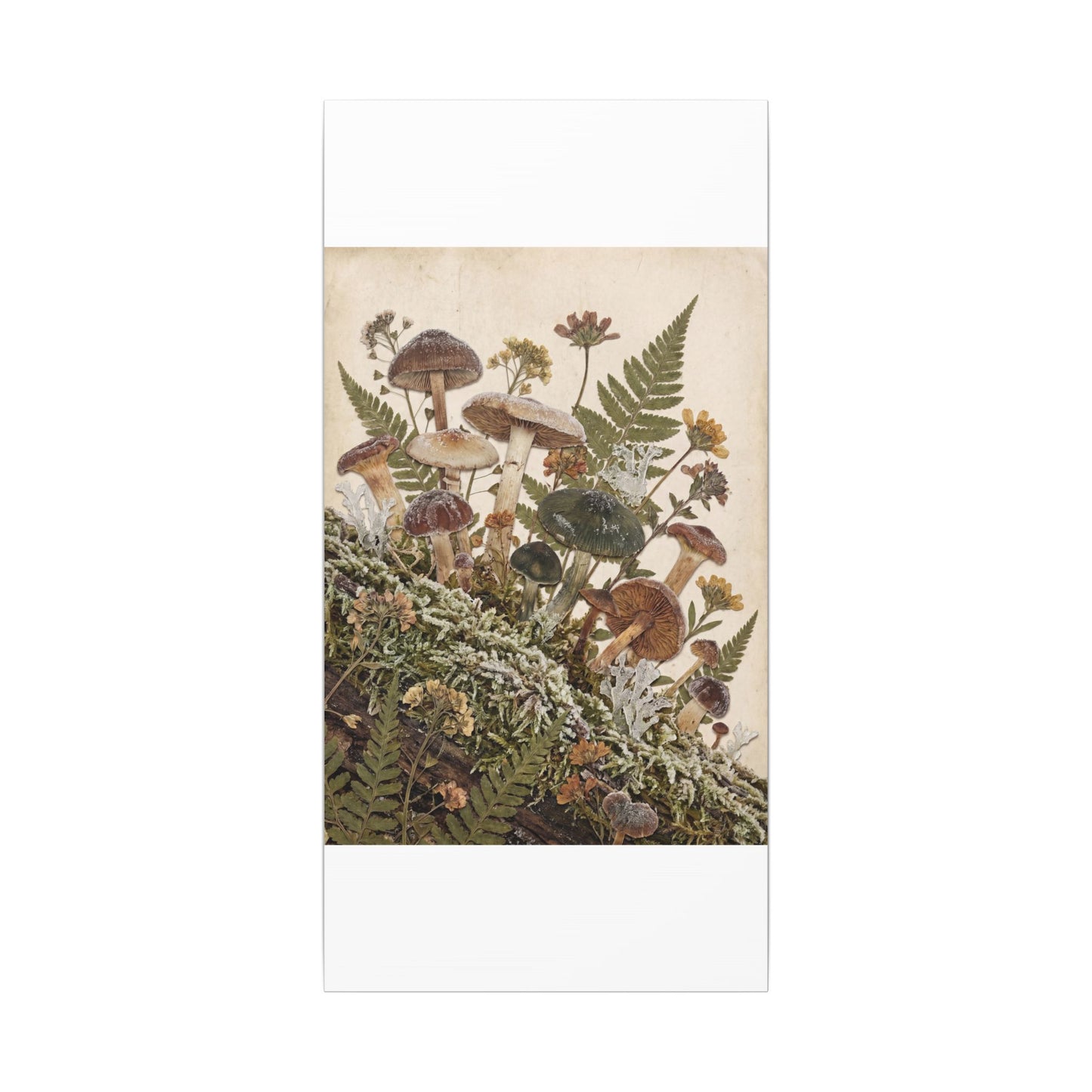 Winter Wild Mushrooms Herbarium Canvas Art | Enchanting Decor