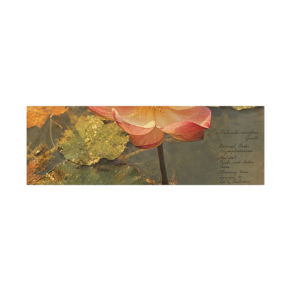 Autumn Lotus Flower Herbarium Canvas Art | Rustic Decor