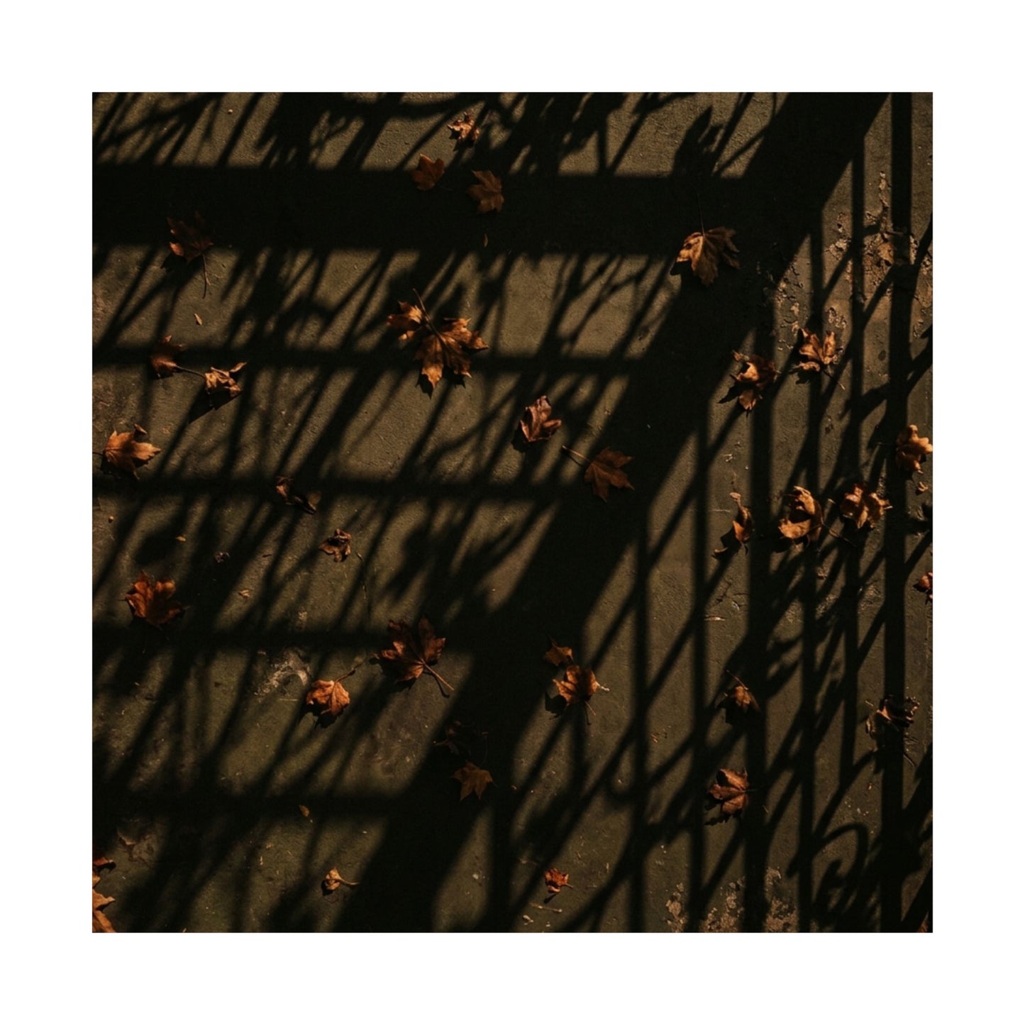 Atmospheric Shadow Play Wall Art Print - Moody Minimal Dark Japandi