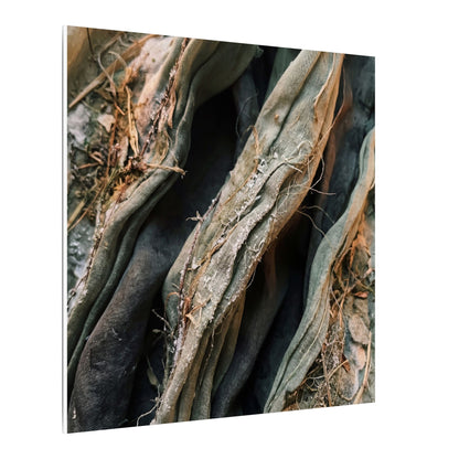Silk Drape Winter Canvas Art | Japandi Cozy Design