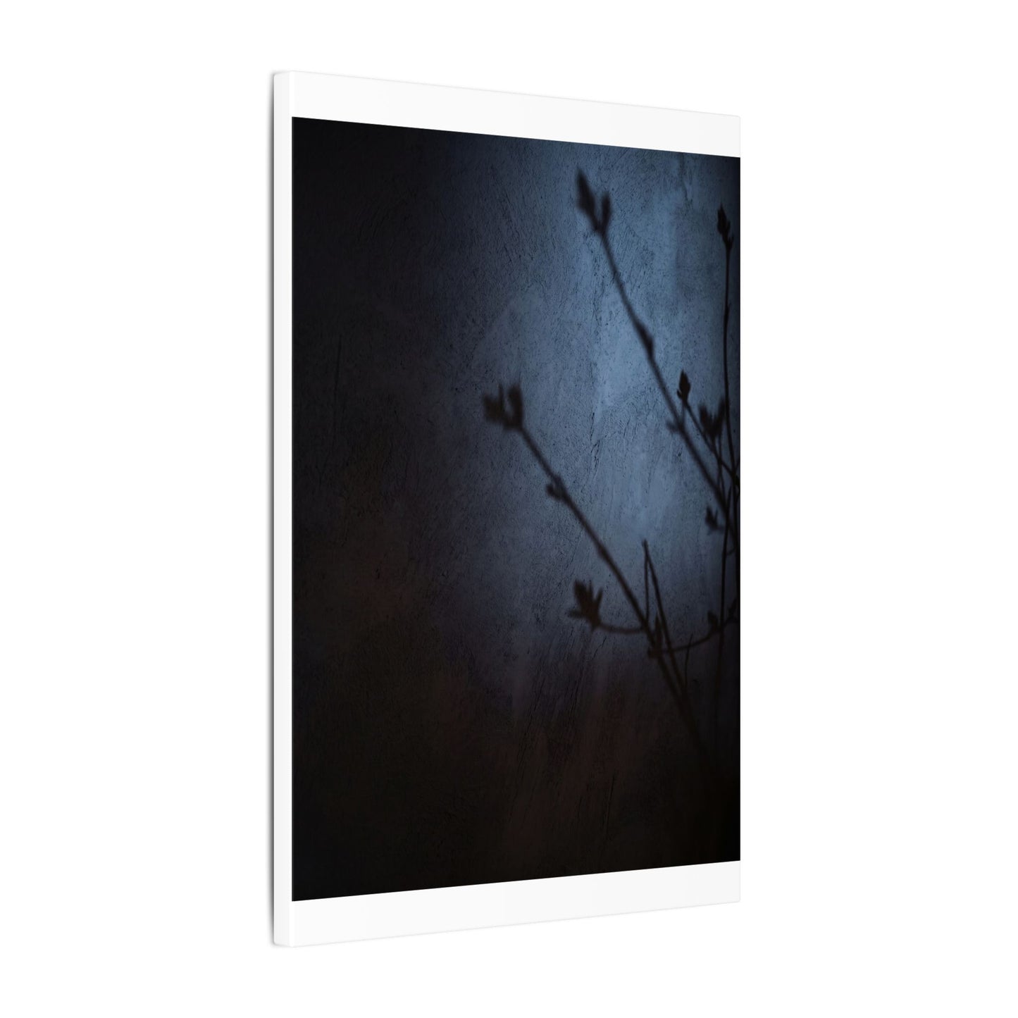 Shadow Play Canvas Art | Spring Dark Japandi Moody Minimal Art