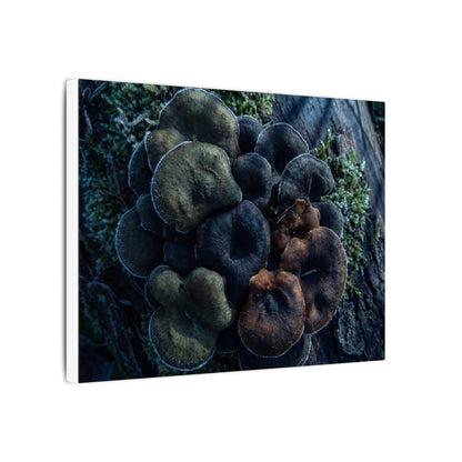 Wild Mushrooms Moody Minimal Canvas Art | Moody Dark Japandi Art