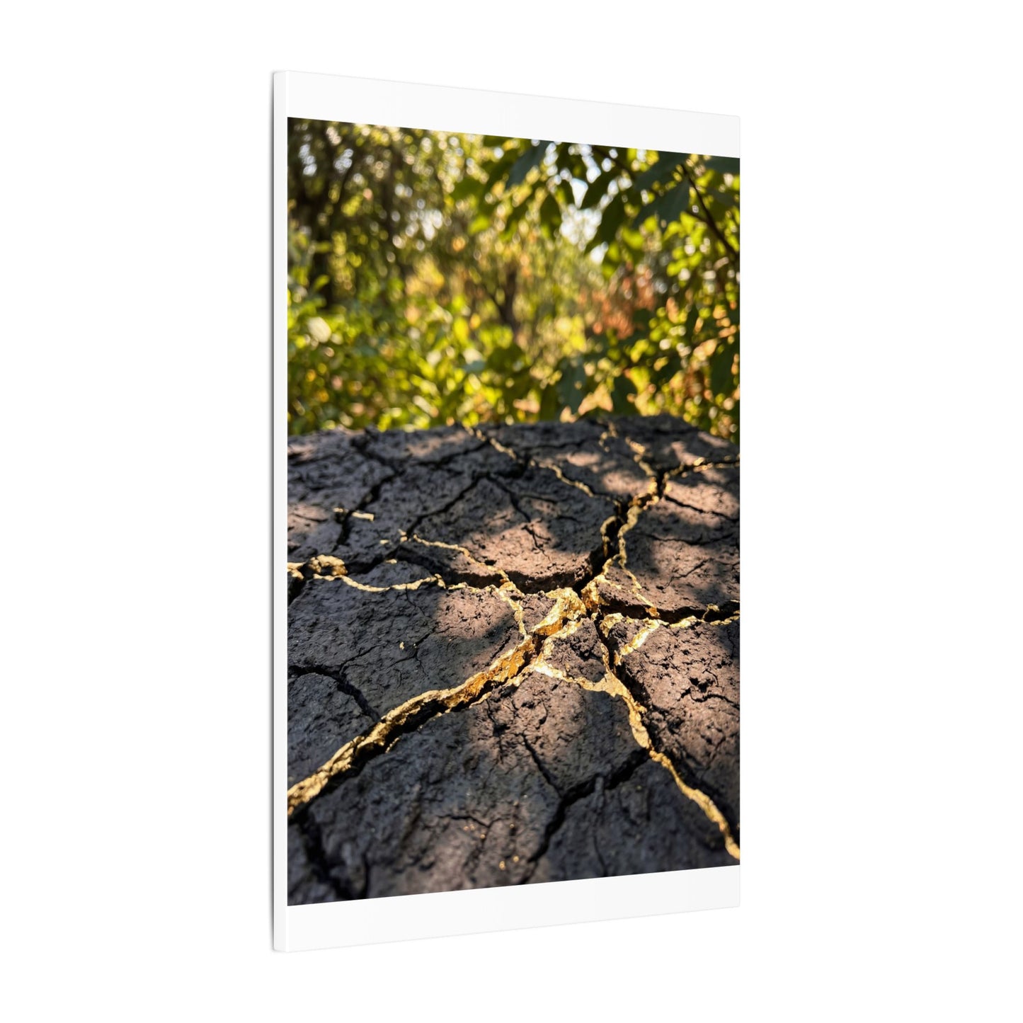 Shibui Cracked Earth Canvas Art - Kintsugi Gold Repair