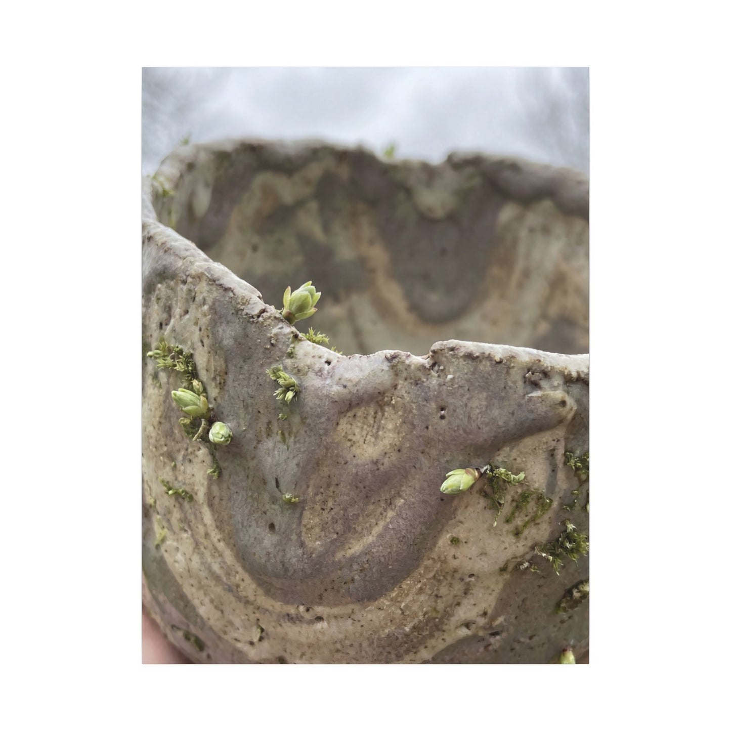 Overcast Ceramic Bowl Canvas Art - Japandi Fukinsei