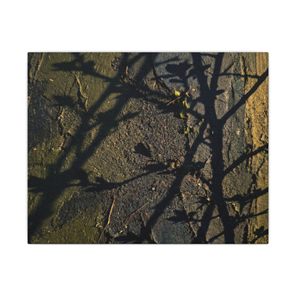 Kanso Shadow Play Canvas Art - Dark Japandi Dark Texture