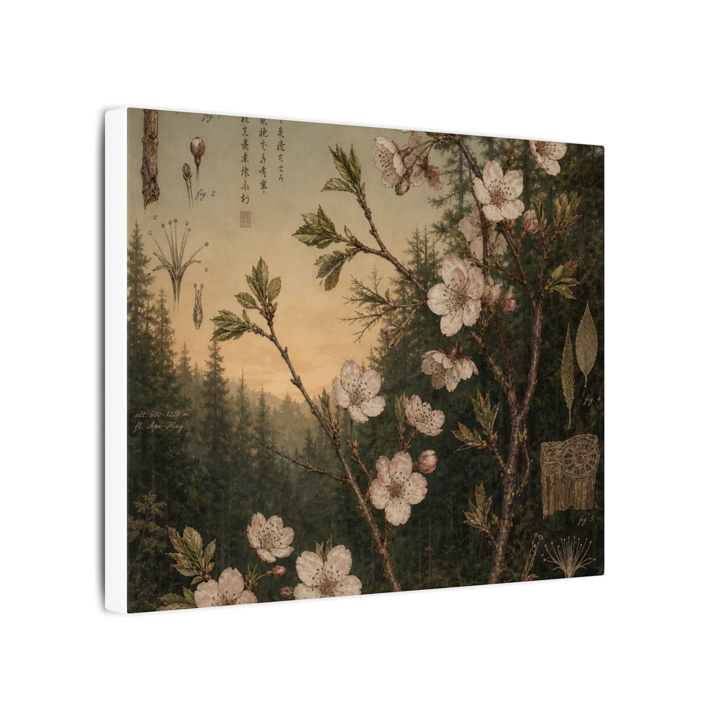 Spring Cherry Blossom Herbarium Canvas Art | Nostalgic Decor