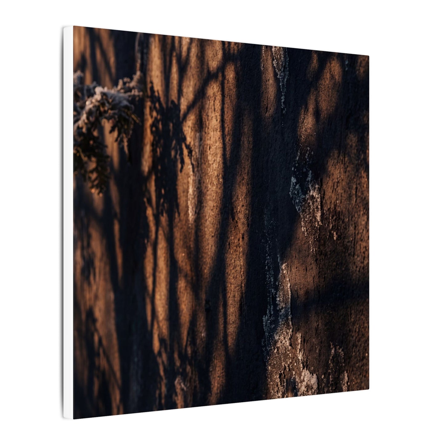 Golden Hour Shadow Play Canvas Art - Dark Japandi Fukinsei