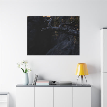 Pine Tree Moody Minimal Canvas Art | Sophisticated Dark Japandi Art