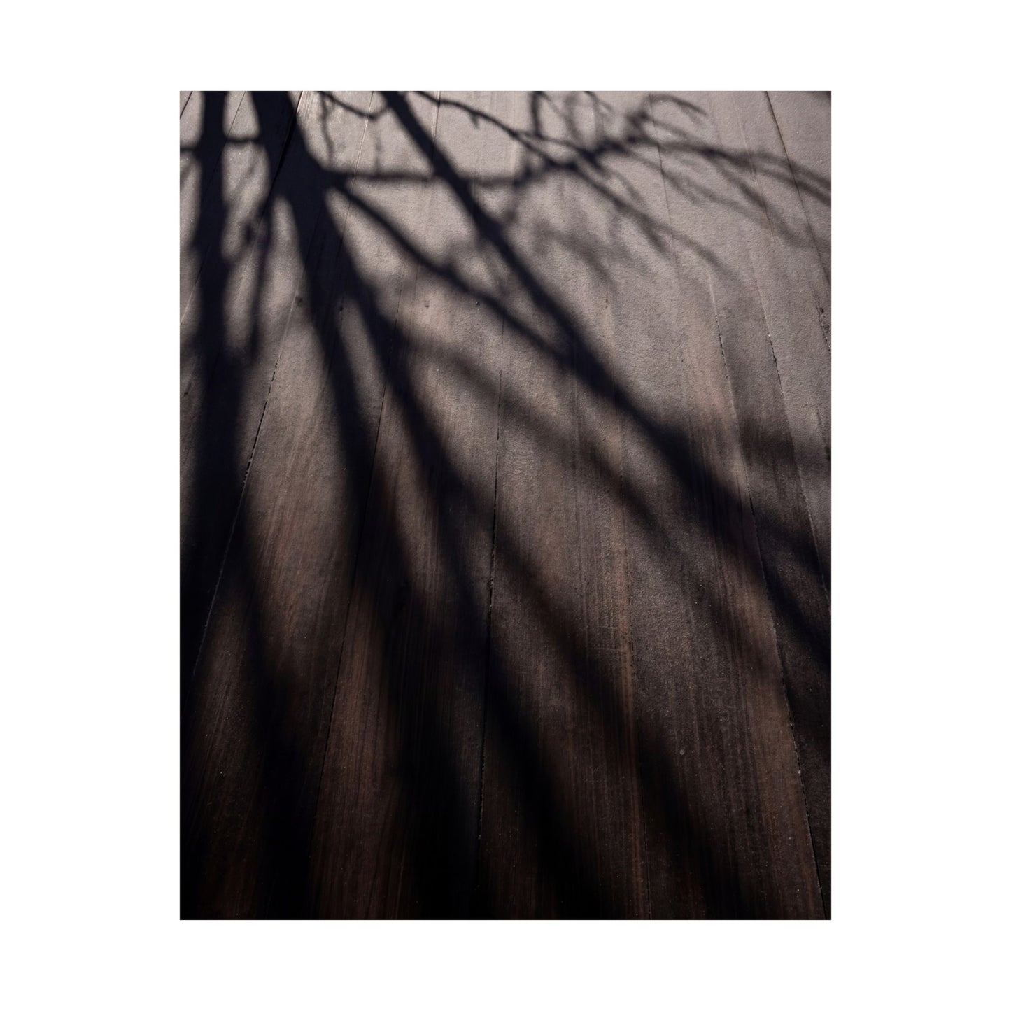 Ma Shadow Play Wall Art Print - Dark Japandi Moody Minimal