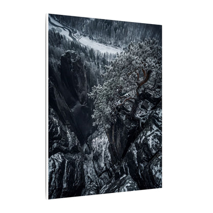 Dark Japandi Pine Tree in Dappled | Dark Texture Canvas Art