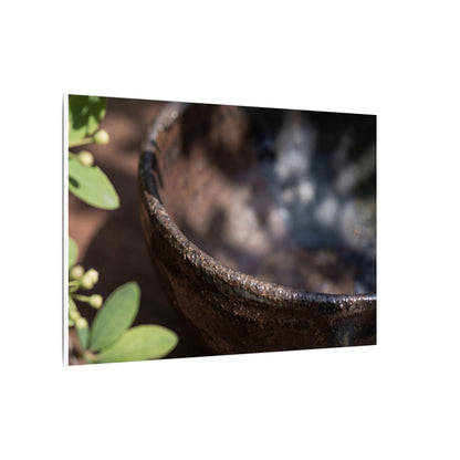 Ceramic Bowl Shadow Zen Canvas Art | Moody Dark Japandi Art