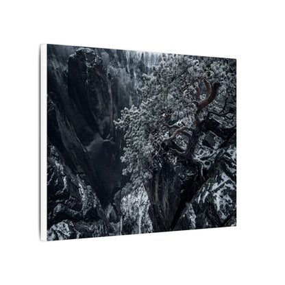 Dark Japandi Pine Tree in Dappled | Dark Texture Canvas Art