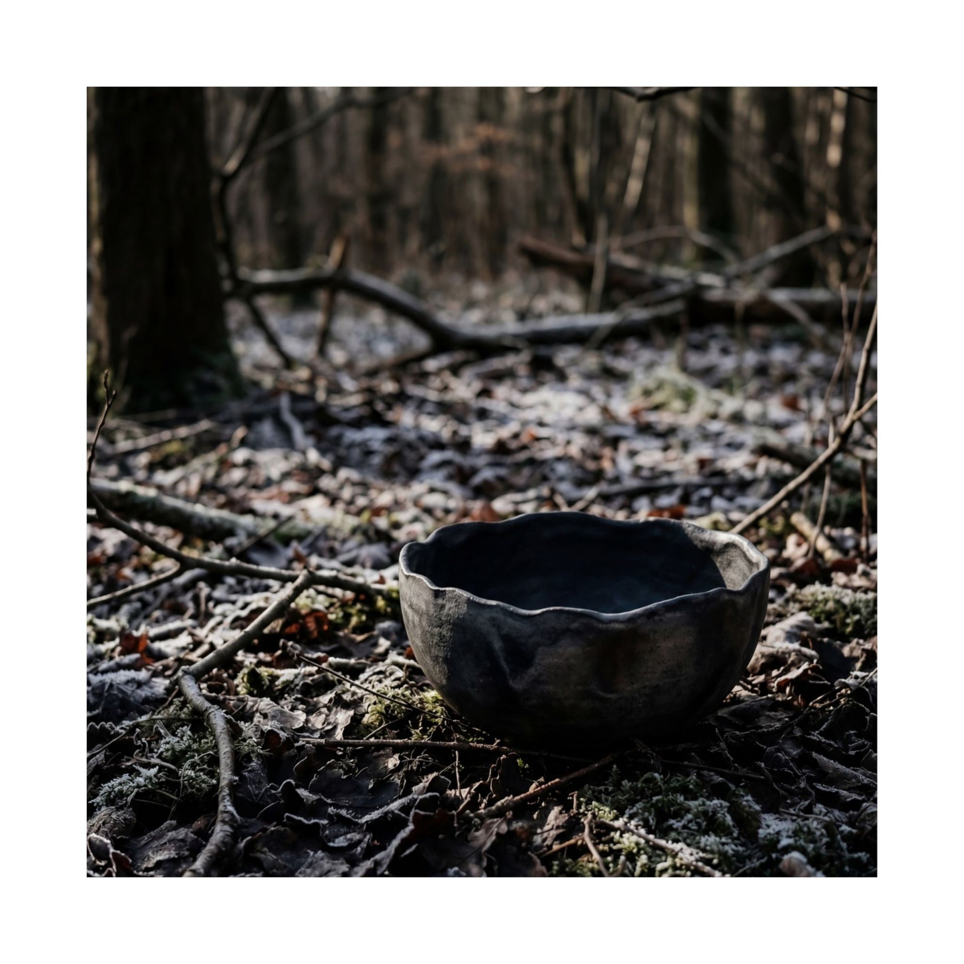 Winter Ceramic Bowl Shadow Zen Wall Art Print | Luxurious Decor Art Print