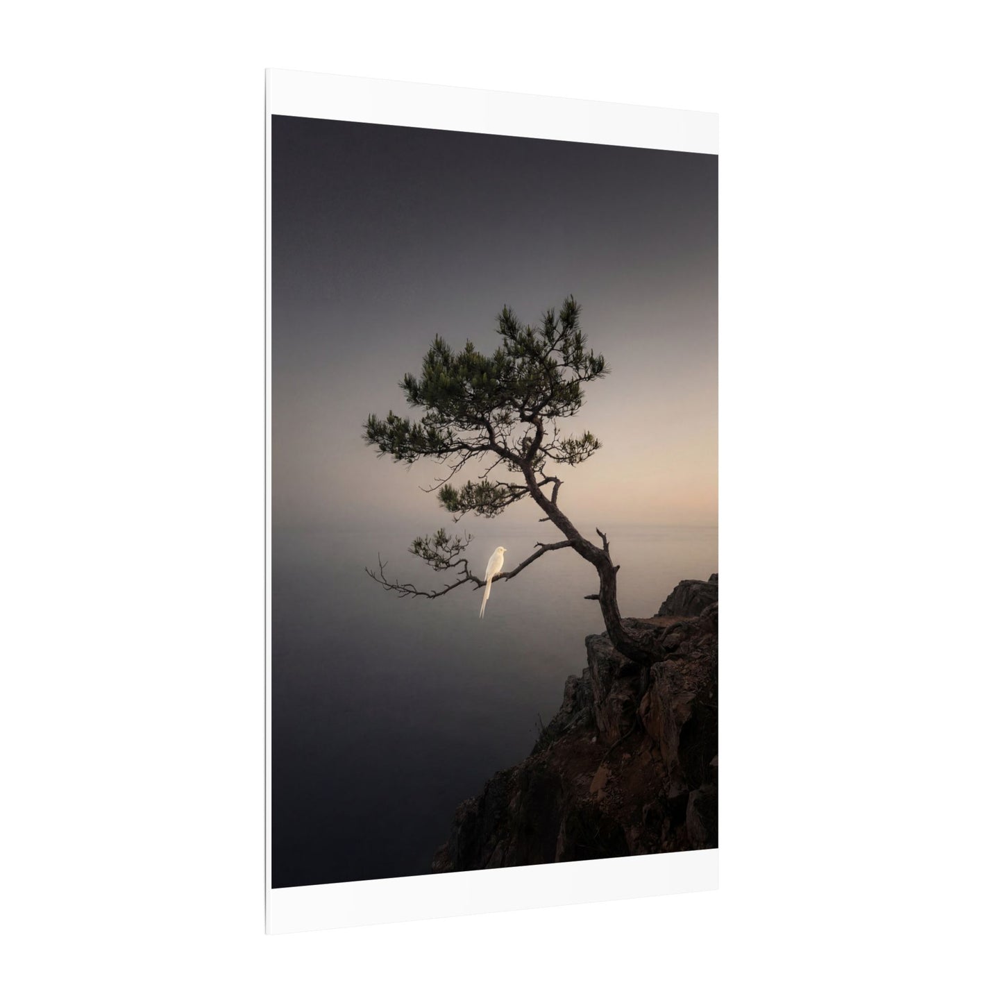 Dawn Pine Tree Canvas Art - Dark Japandi Datsuzoku