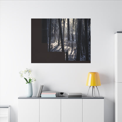 Bamboo Grove Canvas Art | Winter Dark Japandi Moody Minimal Art