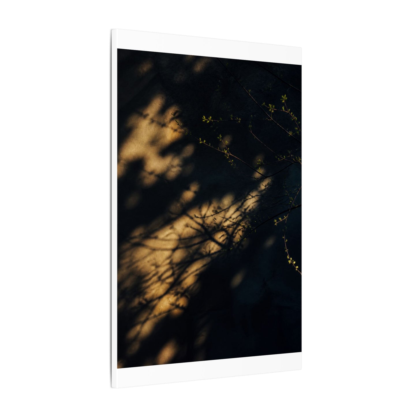 Moody Shadow Play Canvas Art - Moody Minimal Dark Japandi