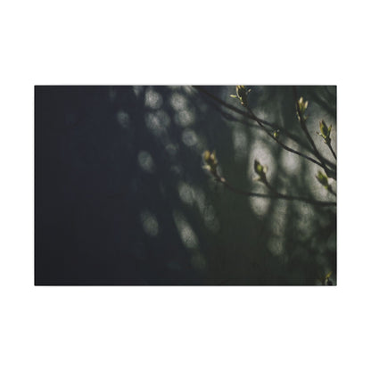 Dark Japandi Shoji Screen in Dappled | Moody Minimal Canvas Art