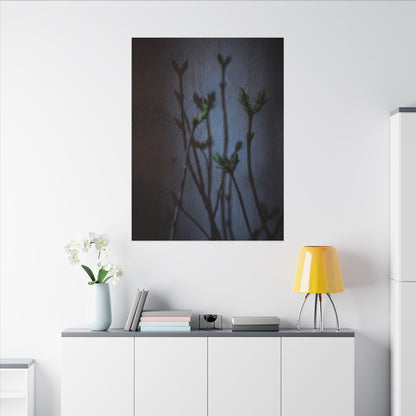 Shadow Play Spring Canvas Art | Dark Japandi Sophisticated Design