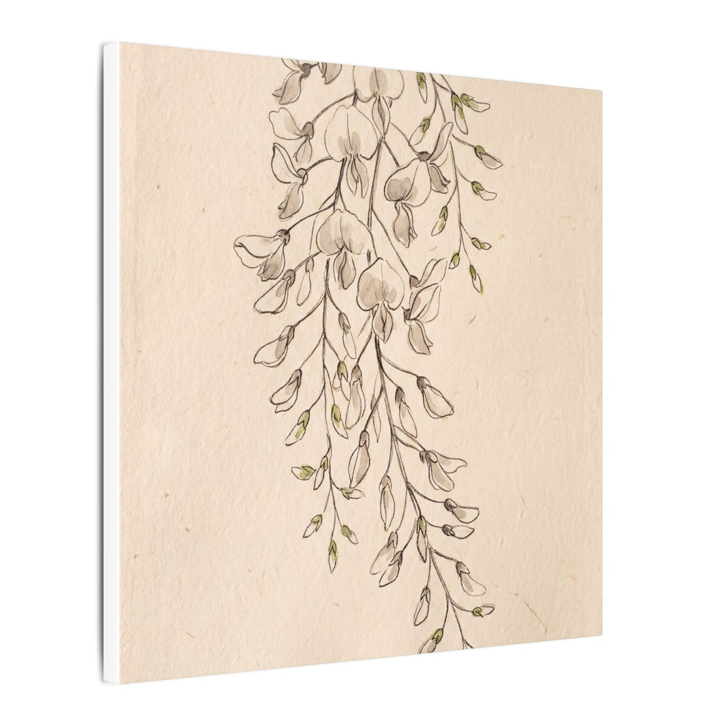 Japandi Wisteria in Golden Hour | Minimal Line Canvas Art