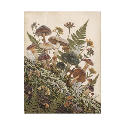 Winter Wild Mushrooms Herbarium Canvas Art | Enchanting Decor