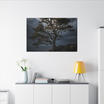 Dappled Pine Tree Canvas Art - Dark Japandi Fukinsei
