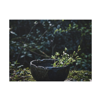 Dappled Ceramic Bowl Canvas Art - Dark Japandi Datsuzoku