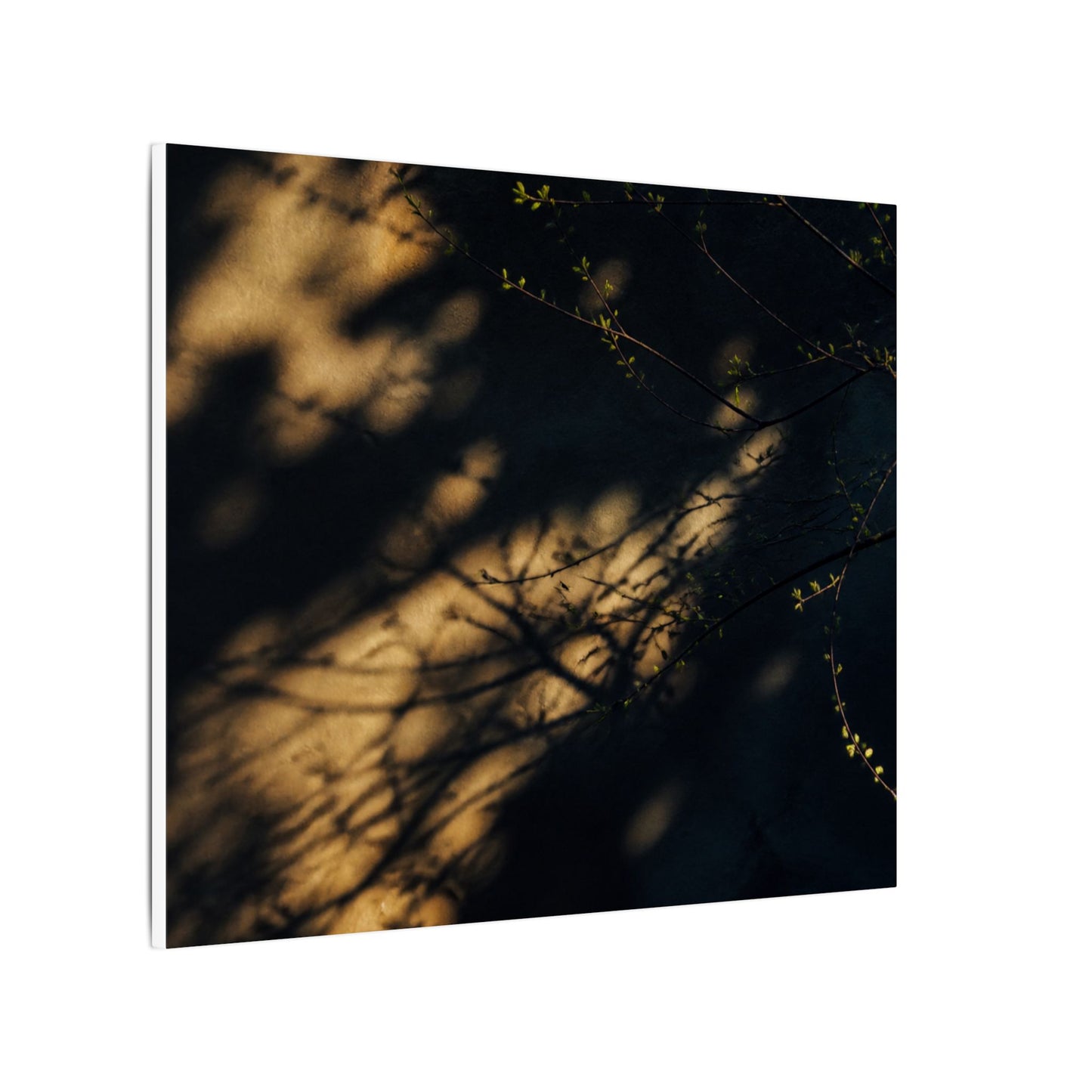 Moody Shadow Play Canvas Art - Moody Minimal Dark Japandi