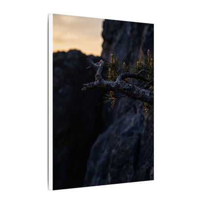 Pine Tree Moody Minimal Canvas Art | Sophisticated Dark Japandi Art