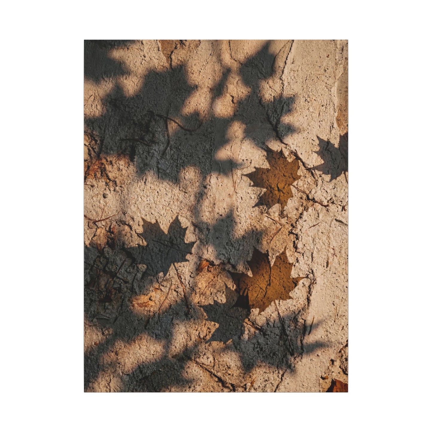 Cozy Shadow Play Canvas Art - Texture Japandi