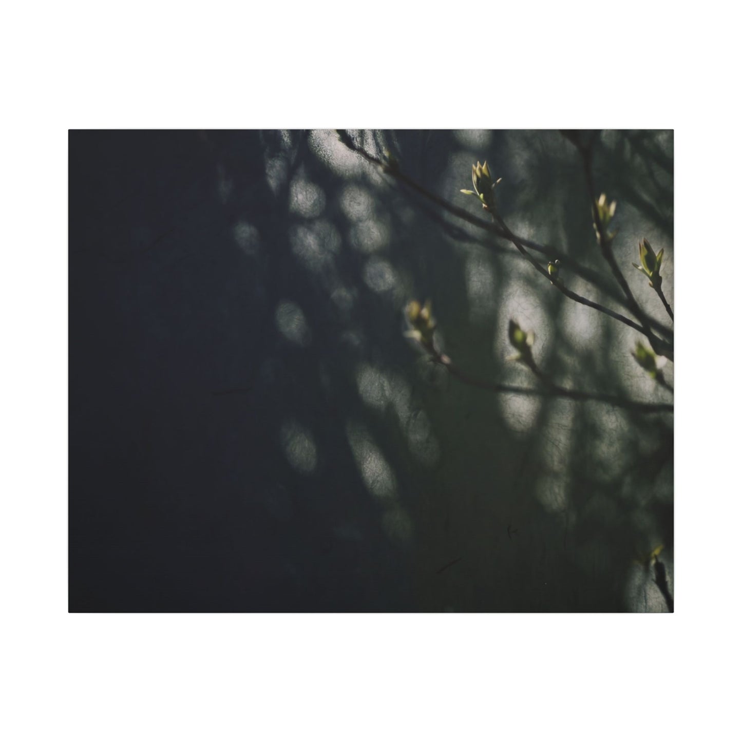 Dark Japandi Shoji Screen in Dappled | Moody Minimal Canvas Art