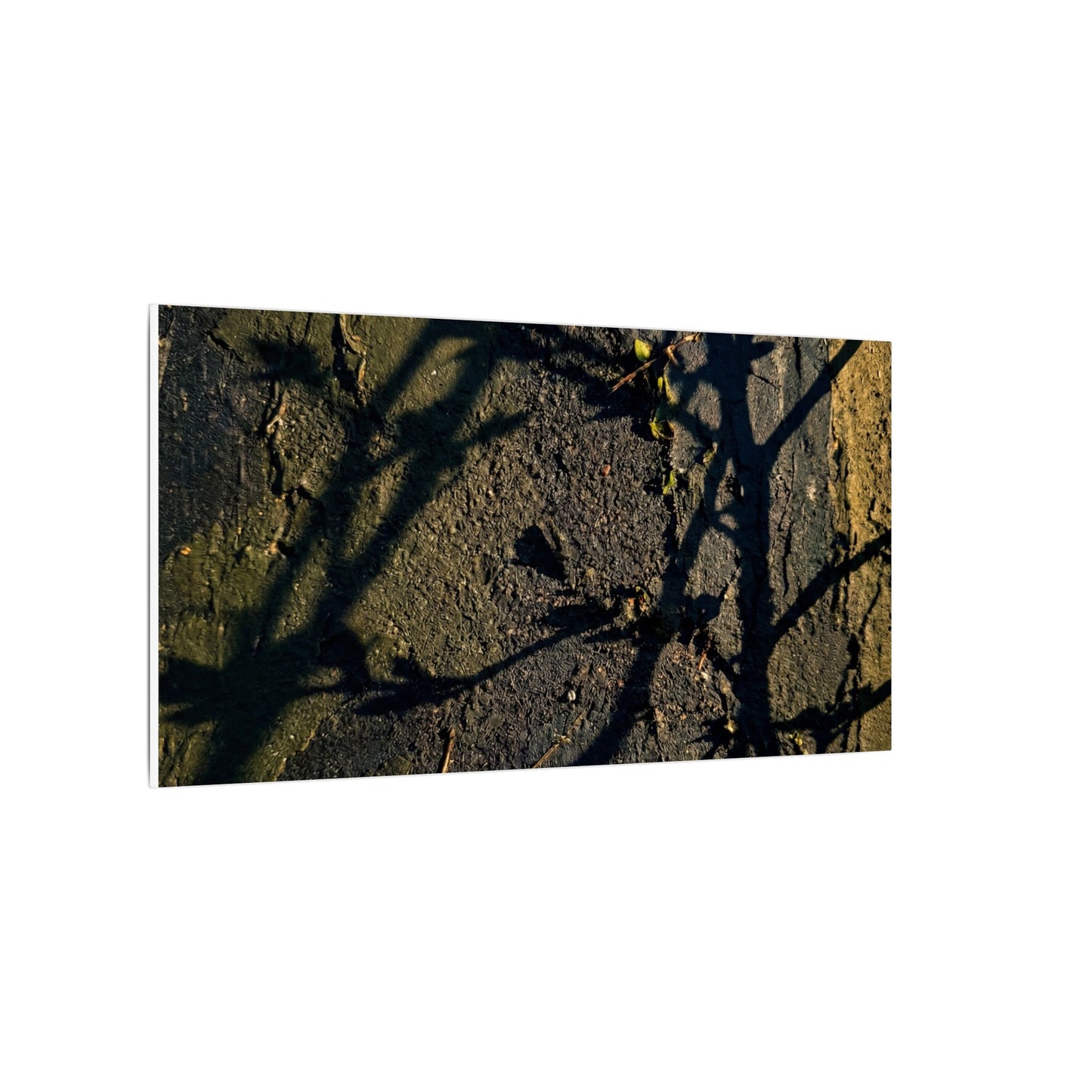 Kanso Shadow Play Canvas Art - Dark Japandi Dark Texture