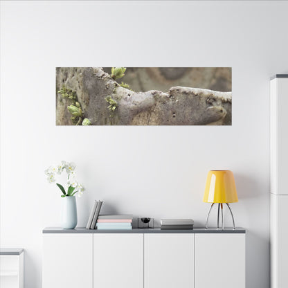 Overcast Ceramic Bowl Canvas Art - Japandi Fukinsei