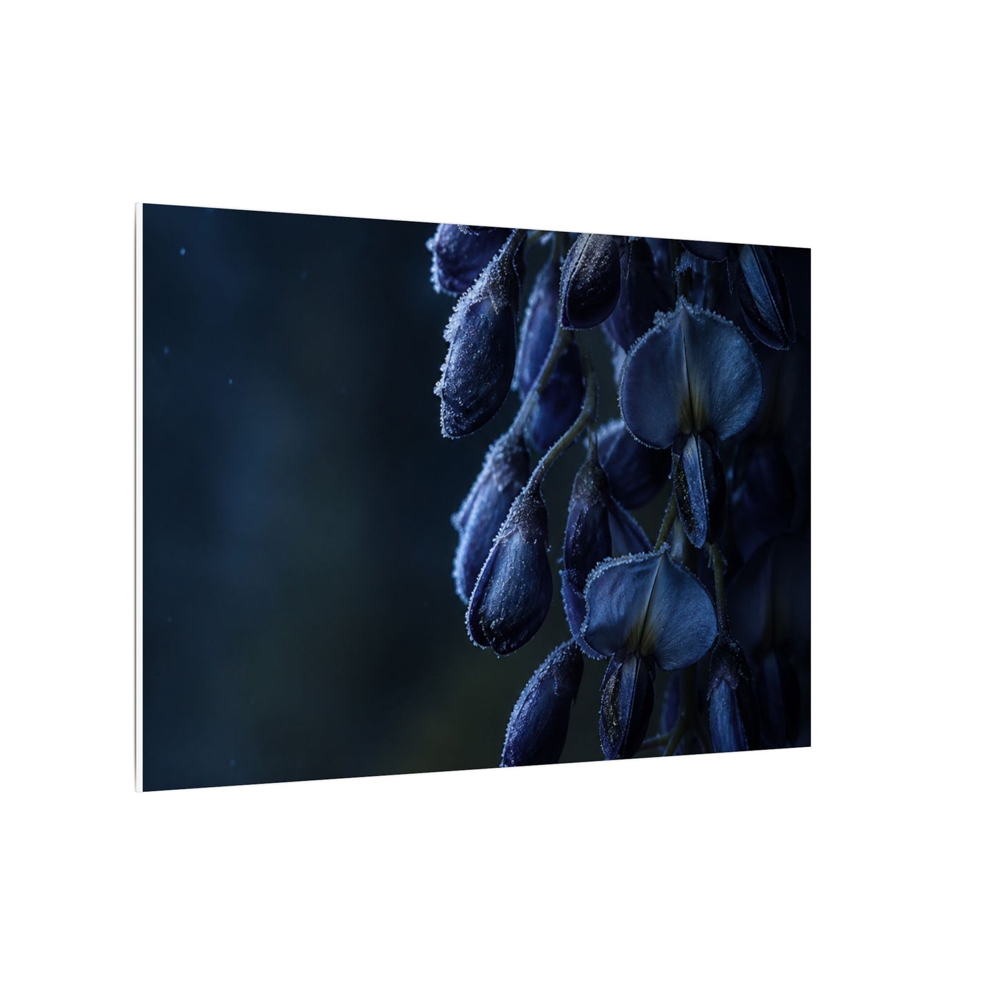 Winter Wisteria Shadow Zen Canvas Art | Atmospheric Decor