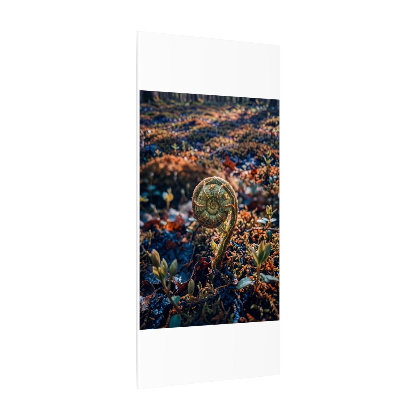 Kintsugi Fern Unfurling in Dappled | Gold Vein Canvas Art